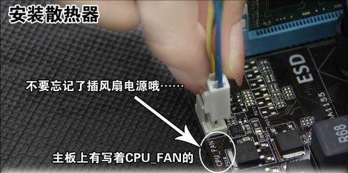 組裝電腦