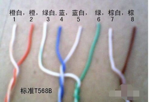 網(wǎng)線