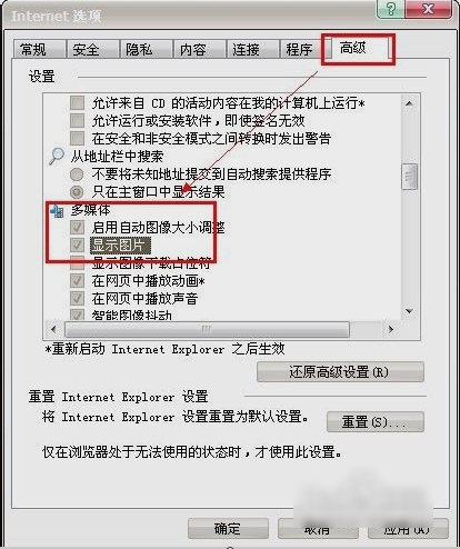 顯示不出圖片