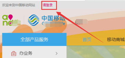 手機密碼