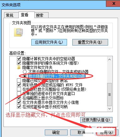 顯示文件