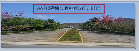 圖片大小