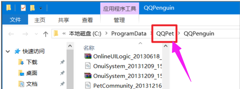 寵物