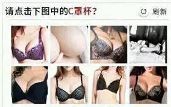 自動程序