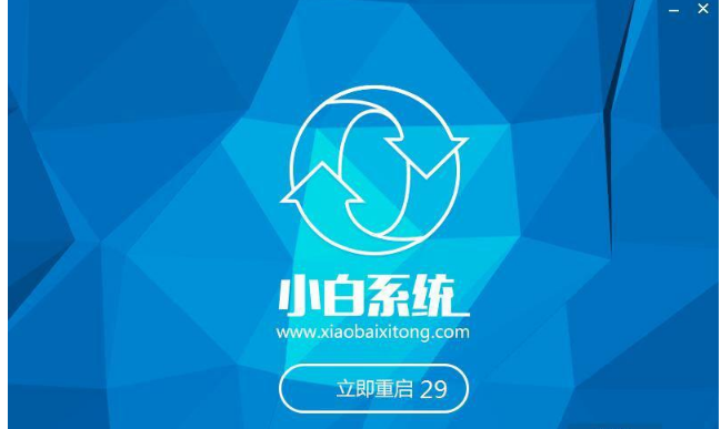 小白